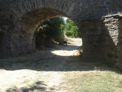 Dia 13/09/2013 - Passeio &agrave; aldeia de Gimonde